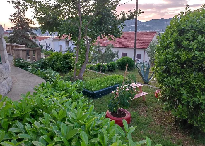 Carija 3*